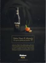 Mahou Negra