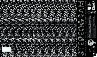 GROSS & THE FLYING INN - STEREOGRAM