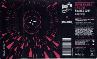 NAPARBIER & NORTH BREWING - TRIPLE FRUITED X RISE UP