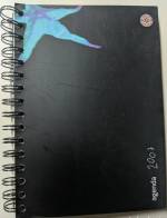 Agenda